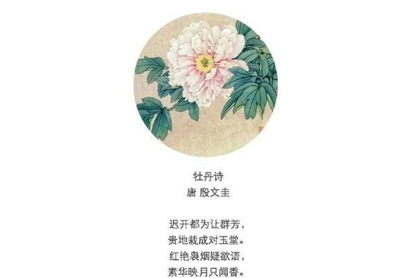 含花的诗句有哪些？它们的花语是什么？