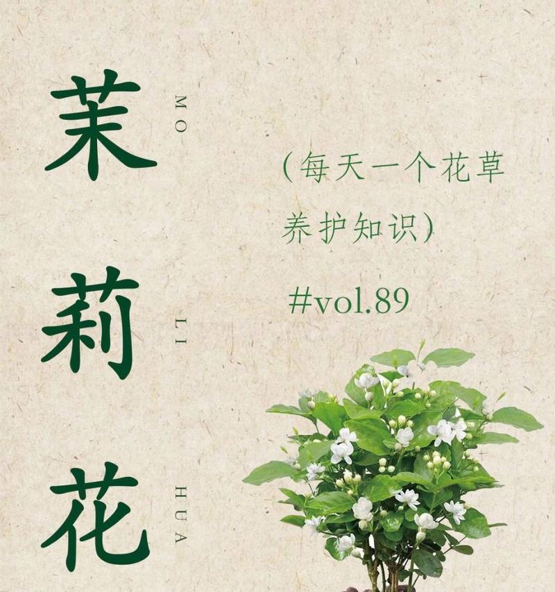含花的诗句有哪些？它们的花语是什么？
