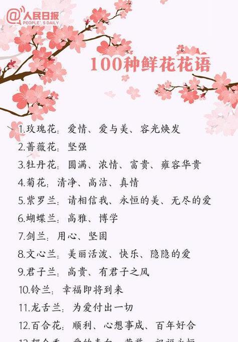 刺茄的花语是什么？它有何特别含义？