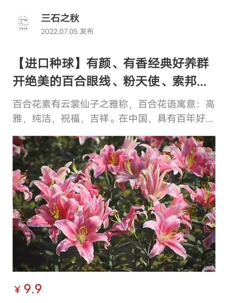 量天尺花语有哪些寓意？