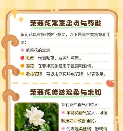 哪种花的花语是爱情的象征？