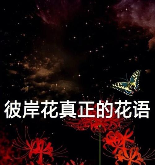有关彼岸花的花语你知道吗？