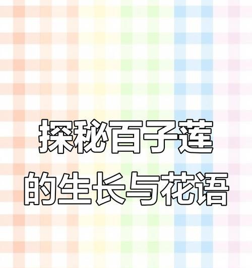 百子莲的花语有哪些特别之处？