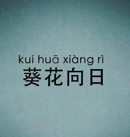 向日葵的花语在祭拜中有何意义？