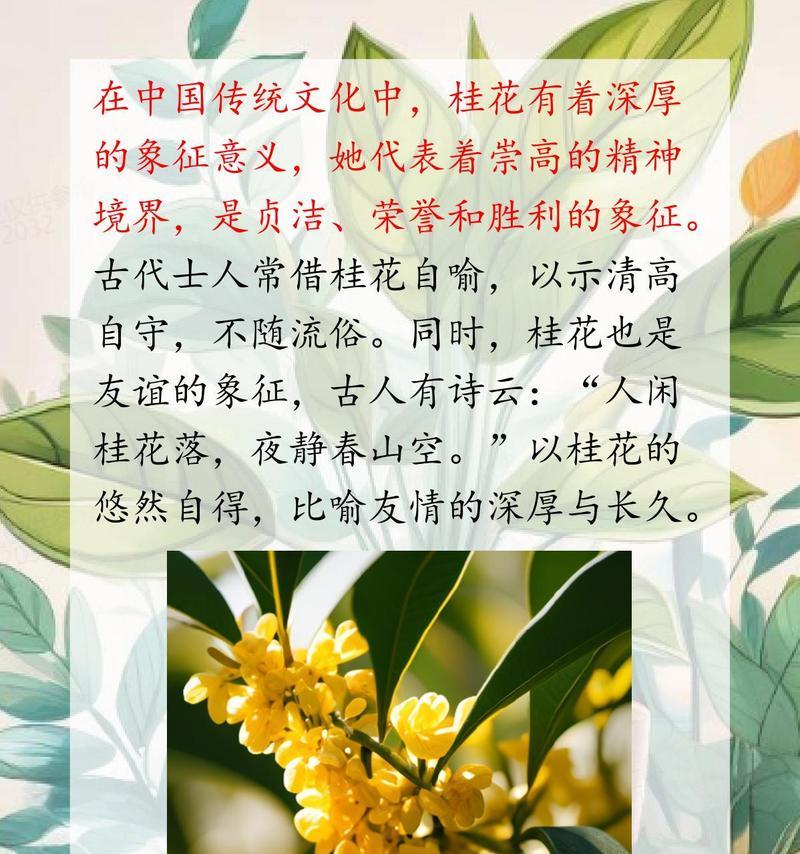 桂花的花语有哪些寓意？