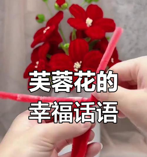 芙蓉花的花语寓意有哪些？