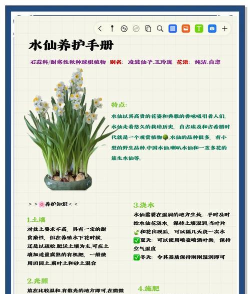 四季凤仙花浇水需要注意什么？正确的浇水方法是什么？