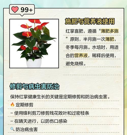 水养红掌的步骤和注意事项有哪些？