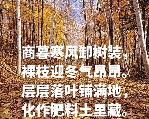 落叶肥料制作的步骤和效果如何？