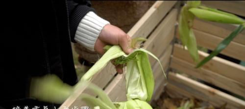 落叶肥料制作的步骤和效果如何？