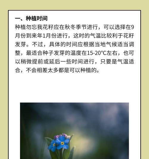勿忘我种植需要注意哪些问题？