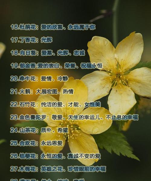 因地卡的养殖方法是什么？需要注意哪些问题？