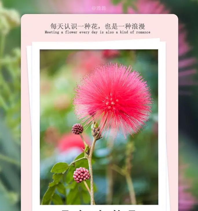 因地卡的养殖方法是什么？需要注意哪些问题？