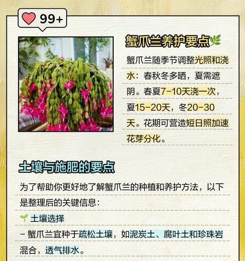 蟹爪兰冬季养护需要注意什么？如何安全过冬？