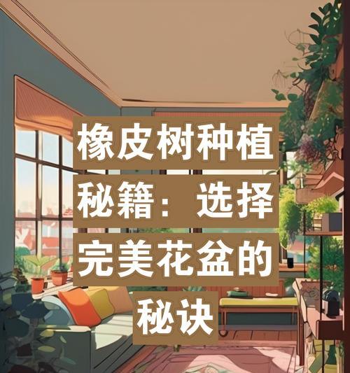 橡皮树用什么样花盆？橡皮树的花盆选择技巧是什么？
