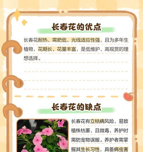 长春花过冬的正确方法是什么？