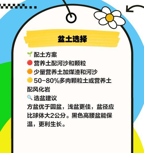 仙人球栽培方法？如何正确栽培仙人球？