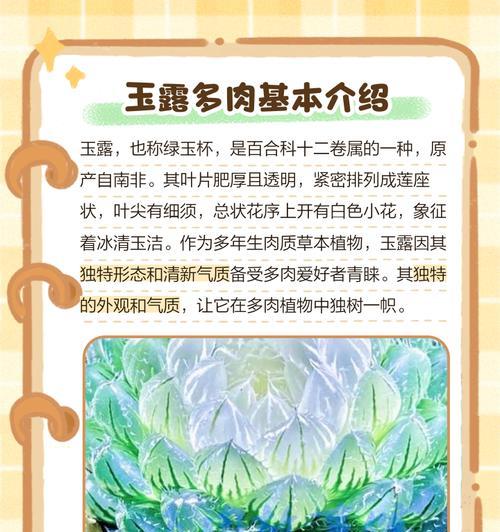 水晶玉露的养殖方法和注意事项是什么？