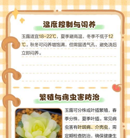 水晶玉露的养殖方法和注意事项是什么？