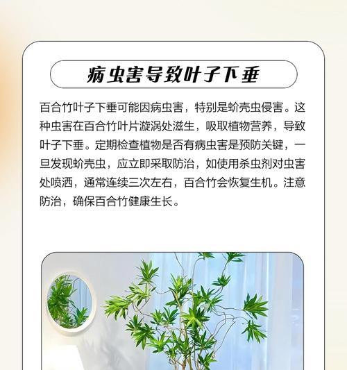 植物叶子耷拉是什么原因？如何解决叶子耷拉的问题？