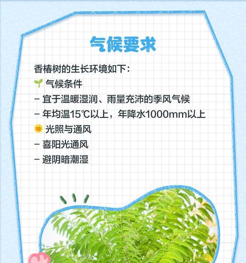 香椿树苗种植需要注意什么？