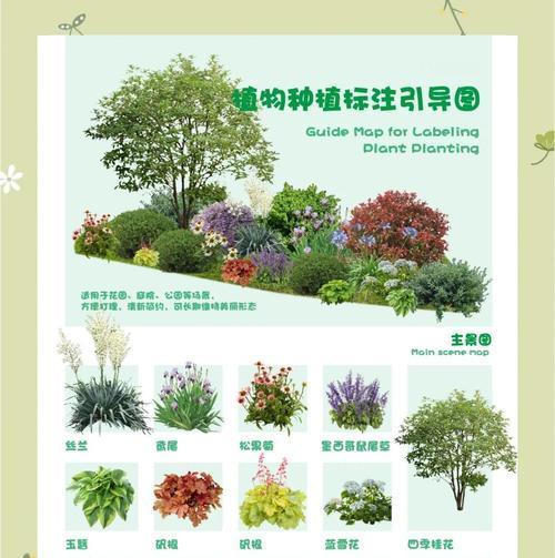 花镜植物有哪些品种？如何搭配才能美观？