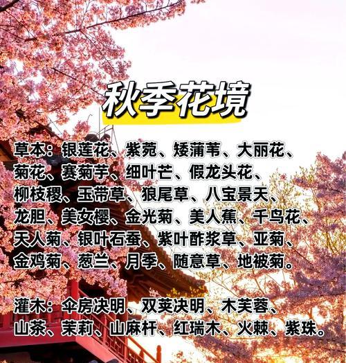 花镜植物有哪些品种？如何搭配才能美观？