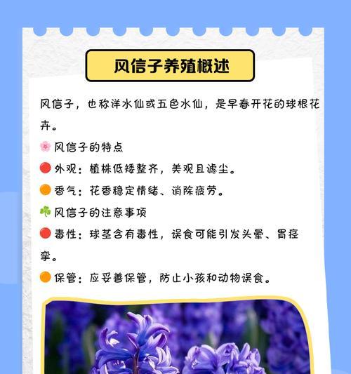 风信子保存的最佳方法是什么？