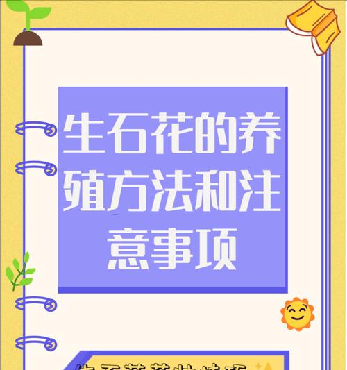 石生花夏季管理方法有哪些？
