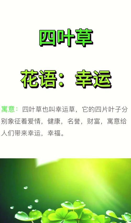 幸运草的最佳种植时间是什么时候？