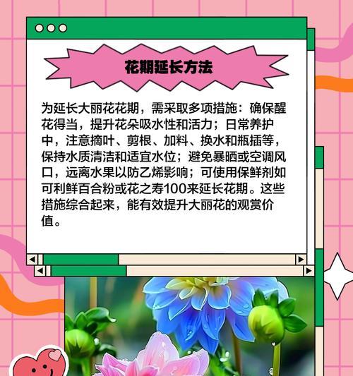 大丽花不发芽的原因及解决方法有哪些？