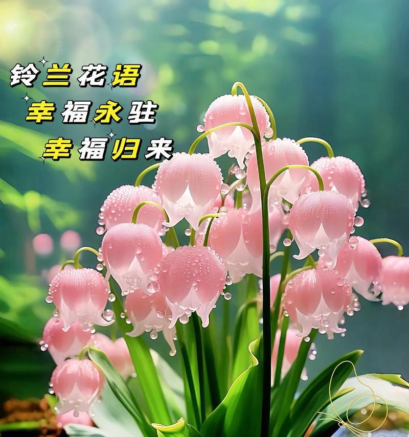 铃兰花的花语和象征意义是什么？