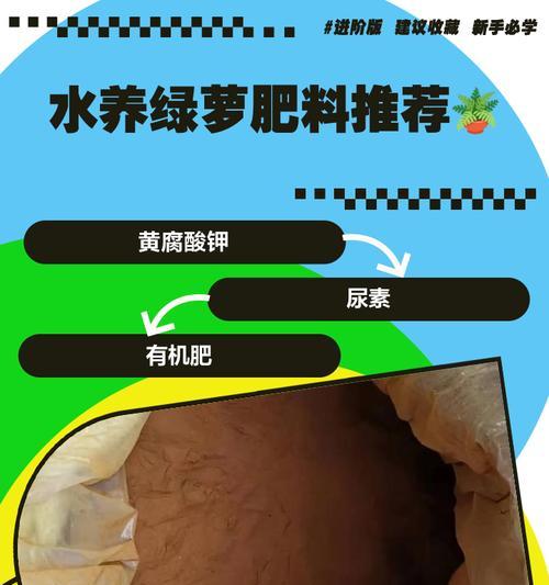 水养绿萝用什么肥料？如何正确给水养绿萝施肥？