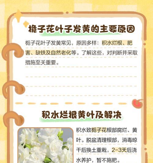 栀子花叶子变黄？有效解决方法是什么？