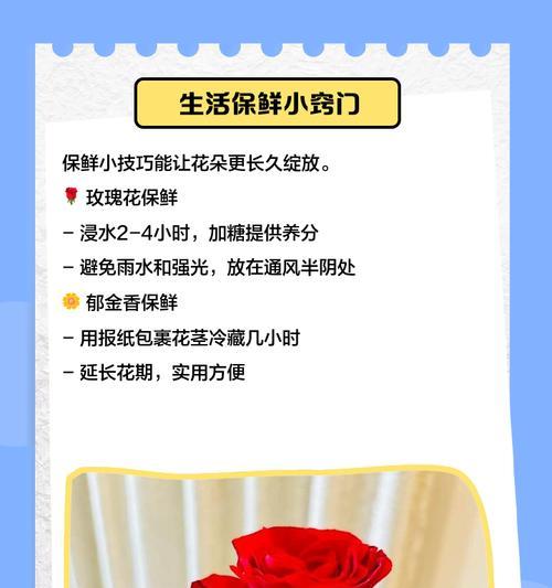 玫瑰花保鲜的秘诀是什么？
