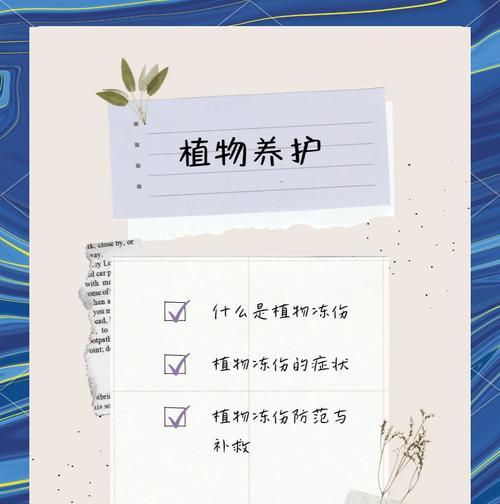 发财树冻伤后如何急救？预防措施有哪些？