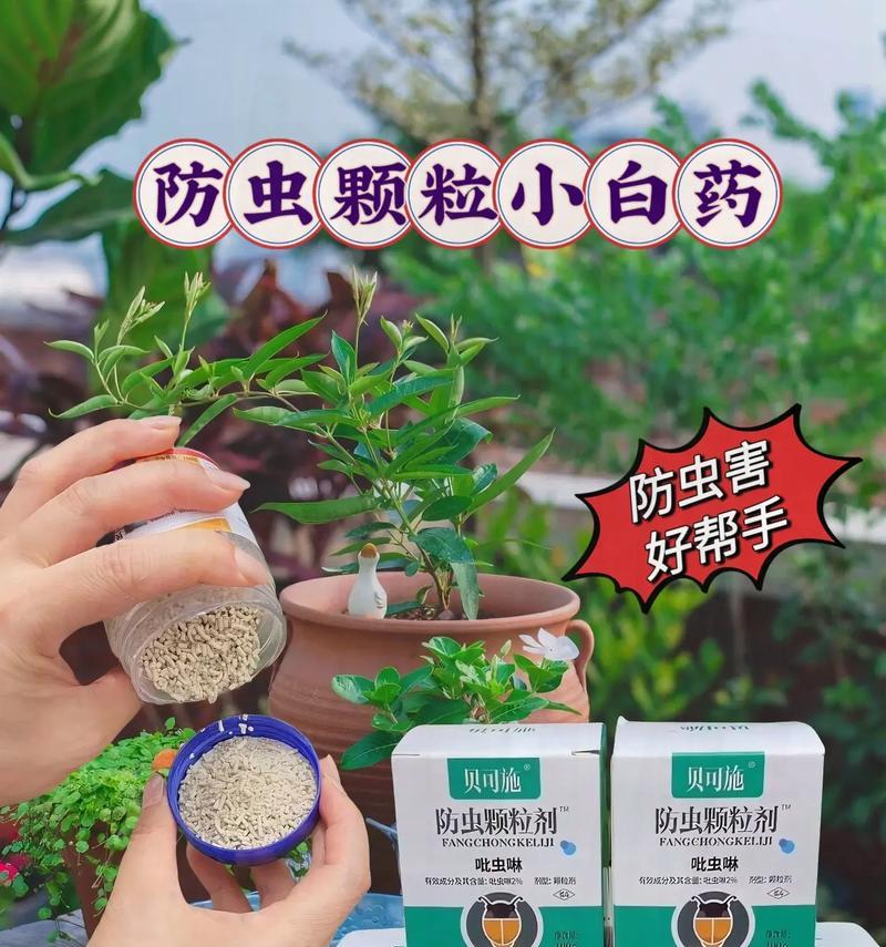 花草防虫的有效方法是什么？