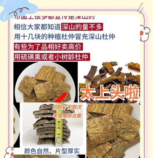 杜仲树剥皮的正确方法是什么？