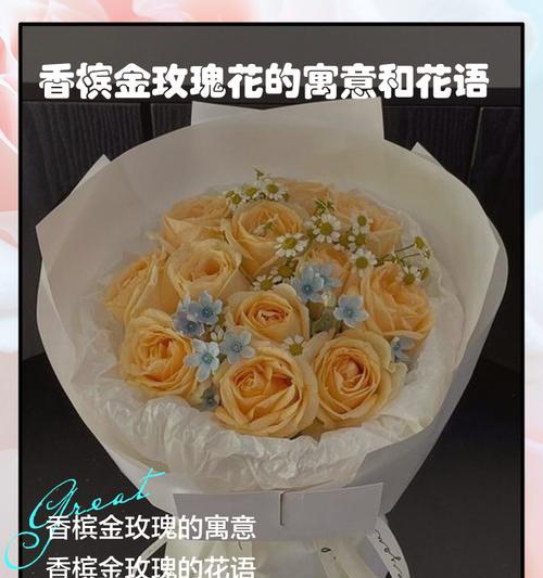 香槟玫瑰代表什么？它的花语和用途是什么？