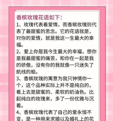 香槟玫瑰代表什么？它的花语和用途是什么？