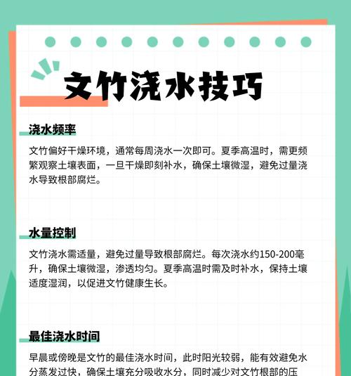 球文竹的养护方法和管理技巧是什么？