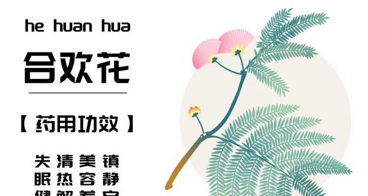 合欢花的形态特征及其观赏价值是什么？