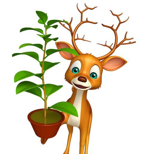 鹿娃娃植物的养护方法是什么？