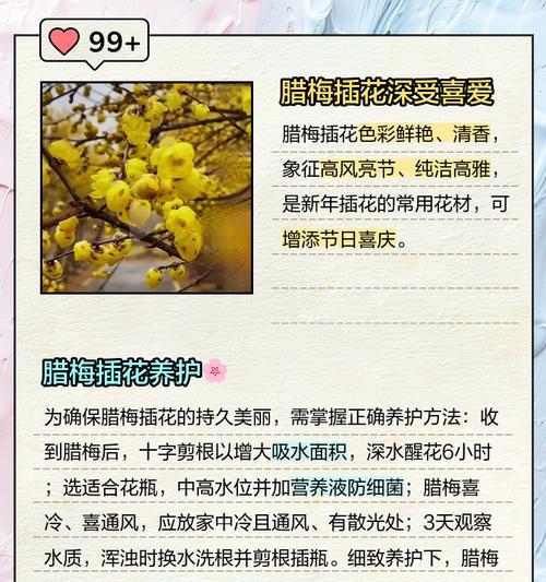 腊梅的品种有哪些？腊梅的品种如何分类？