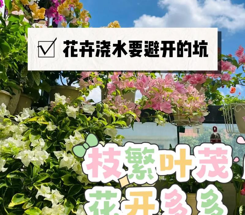 花浇什么水最好？不同花卉的浇水技巧有哪些？