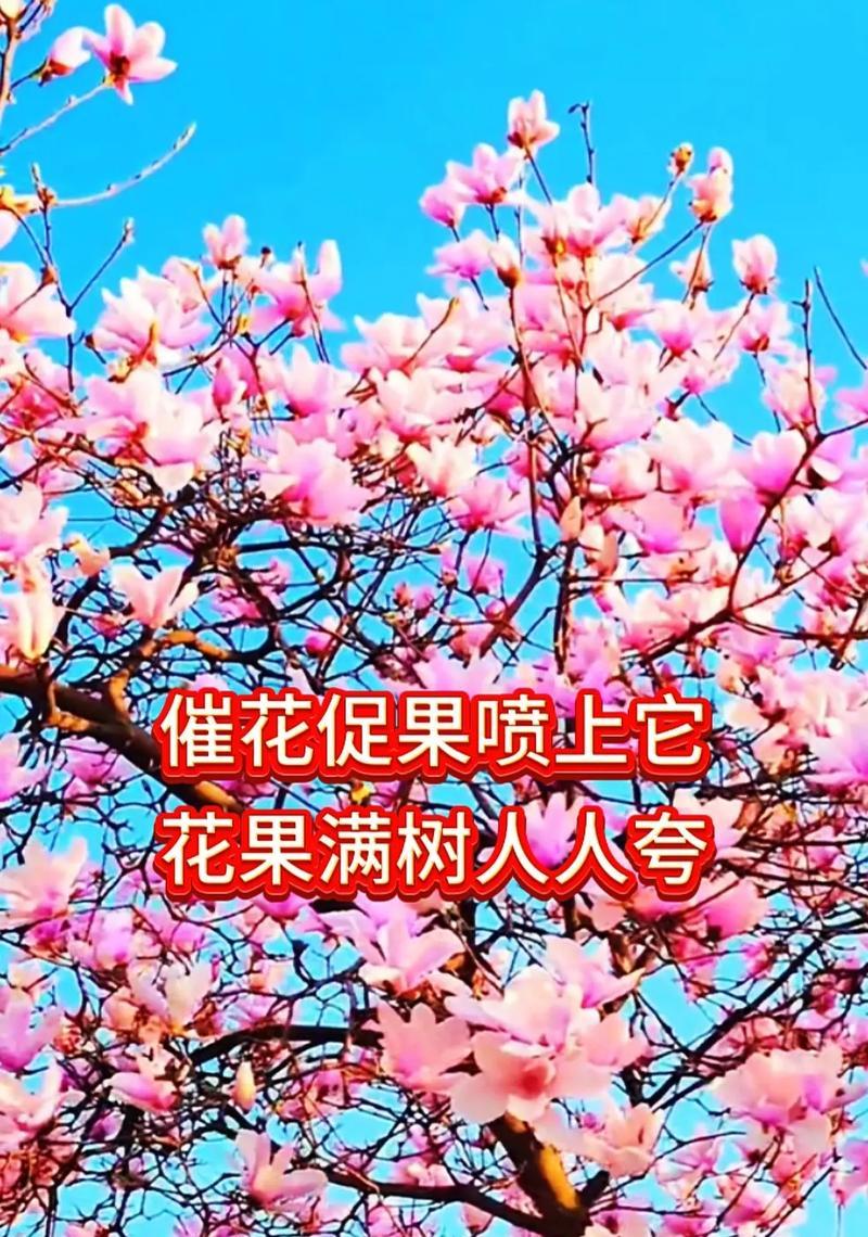 花朵受粉的过程是怎样的？