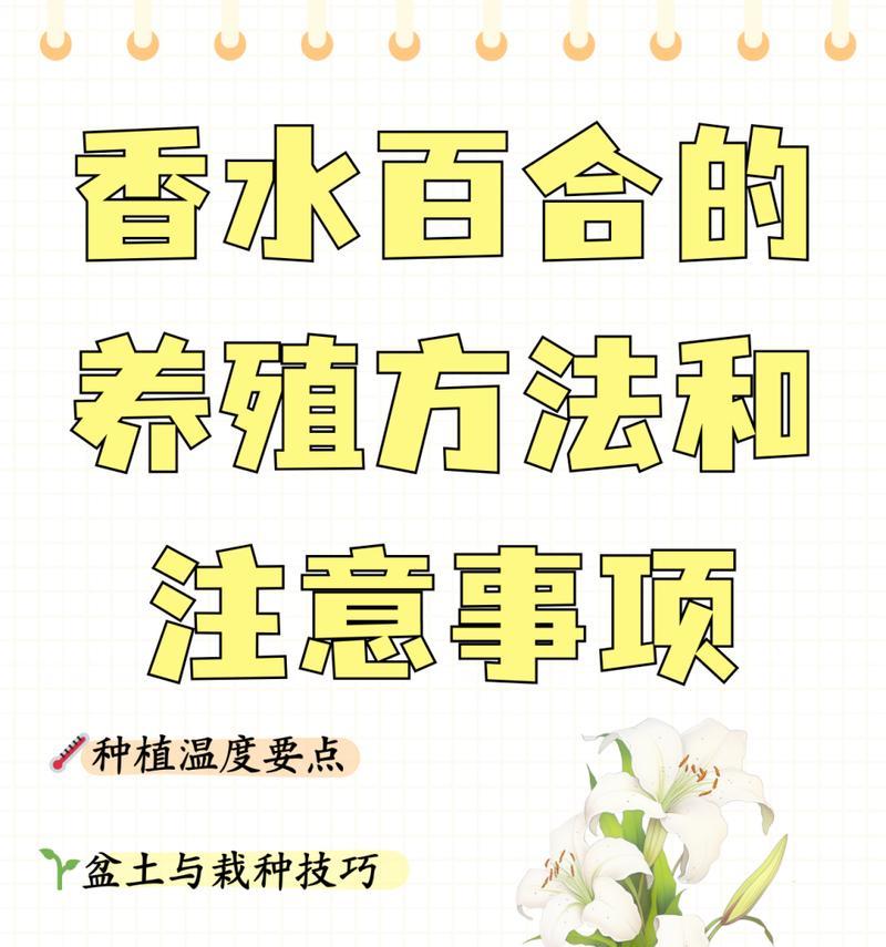百合浇水的正确方法和注意事项是什么？