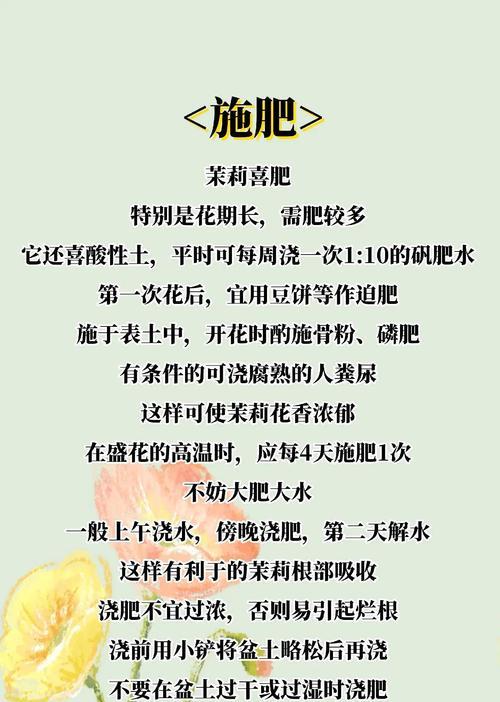 茉莉花应该在什么季节种植？茉莉花的种植和养护要点是什么？