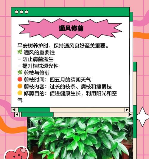 平安树剪口怎么处理？平安树剪口处理的正确方法是什么？