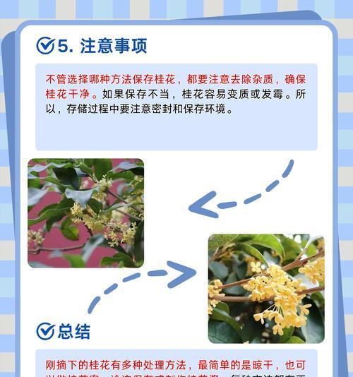 桂花树养护需要注意什么？如何让桂花树茁壮成长？